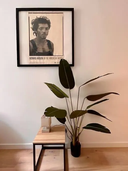 Le Romy Apartman Toulouse Franciaország